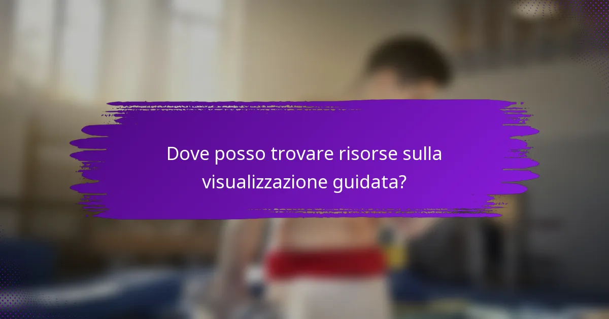 Dove posso trovare risorse sulla visualizzazione guidata?